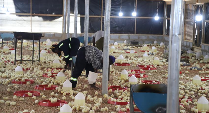 Empowered to Grow: Elizabeth’s Agricultural Journey with the HAPPY Program