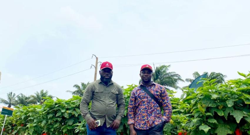 Fresh Logistics' Kelvin Essuman and Francis Tettey Participate in Rijk Zwaan West African Field Days in Benin