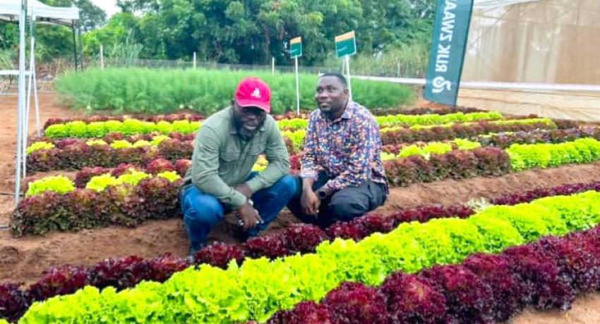 Fresh Logistics' Kelvin Essuman and Francis Tettey Participate in Rijk Zwaan West African Field Days in Benin