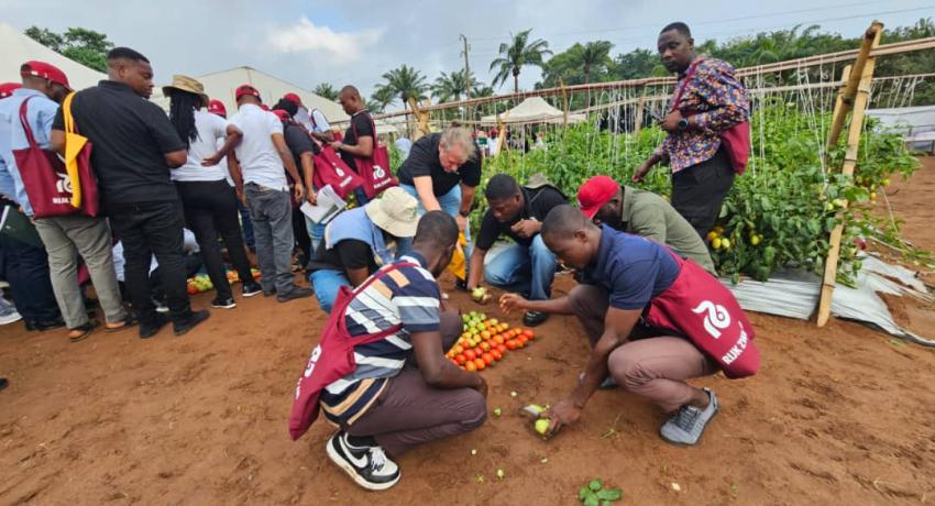 Fresh Logistics' Kelvin Essuman and Francis Tettey Participate in Rijk Zwaan West African Field Days in Benin