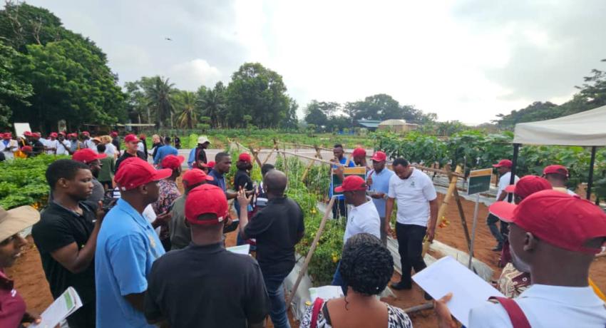 Fresh Logistics' Kelvin Essuman and Francis Tettey Participate in Rijk Zwaan West African Field Days in Benin