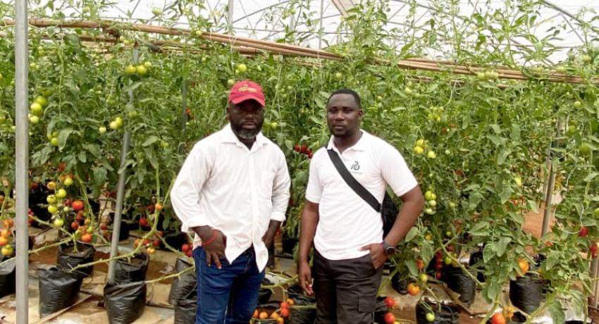 Fresh Logistics' Kelvin Essuman and Francis Tettey Participate in Rijk Zwaan West African Field Days in Benin