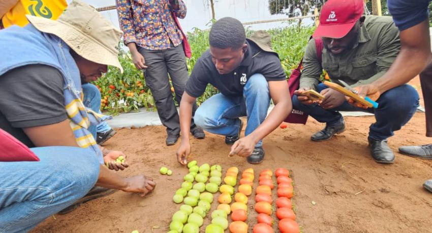 Fresh Logistics' Kelvin Essuman and Francis Tettey Participate in Rijk Zwaan West African Field Days in Benin