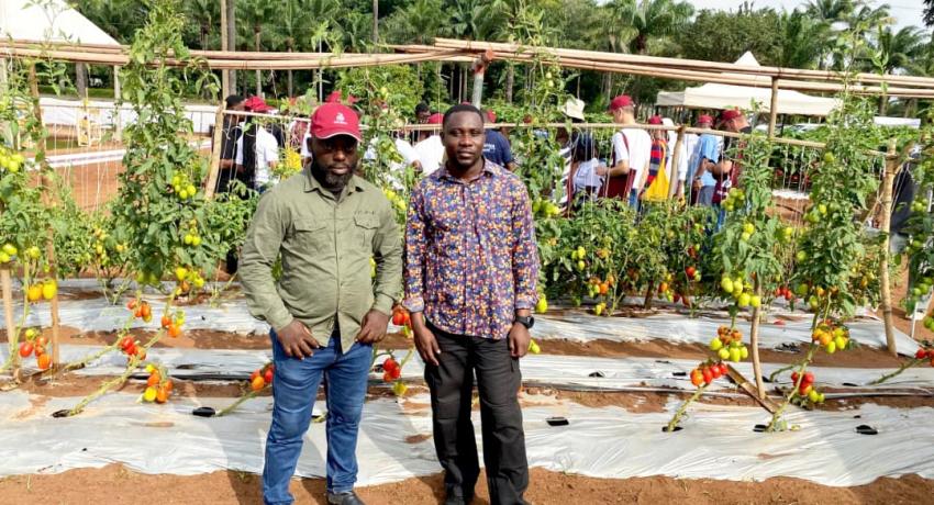 Fresh Logistics' Kelvin Essuman and Francis Tettey Participate in Rijk Zwaan West African Field Days in Benin