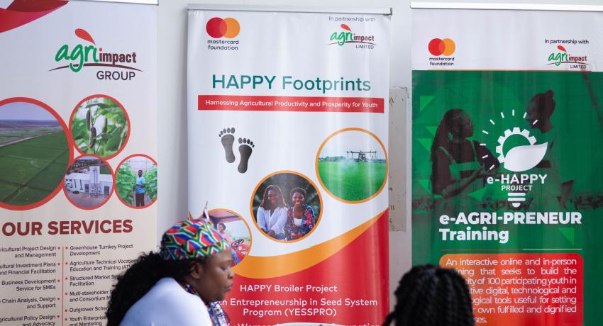 Agritech Key to Transforming Africa’s Agric Sector - Agri-Impact CEO