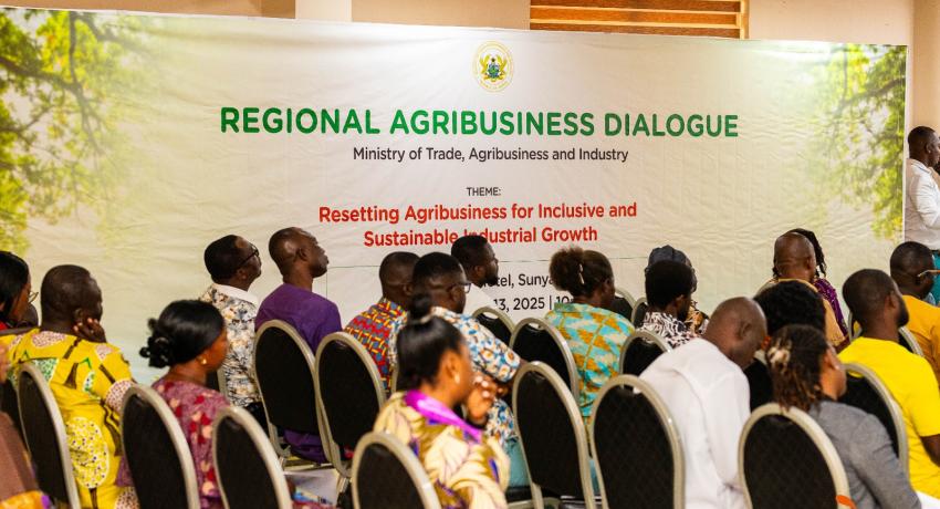 Ghana Needs Bold and Decisive Action to Transform Agribusiness — Agri-Impact Deputy CEO