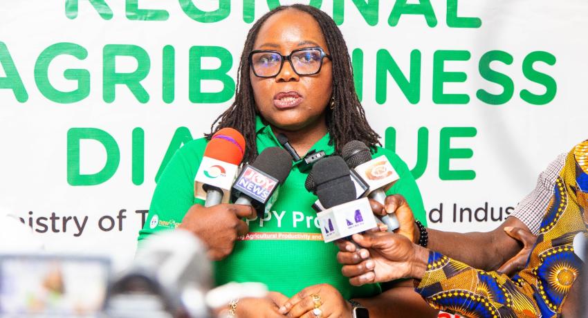 Ghana Needs Bold and Decisive Action to Transform Agribusiness — Agri-Impact Deputy CEO