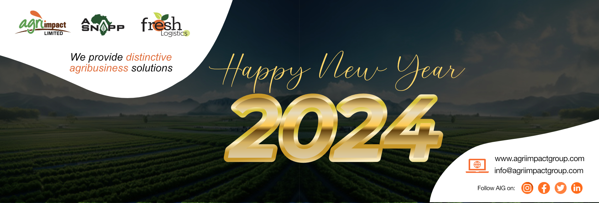 Happy New Year - 2024