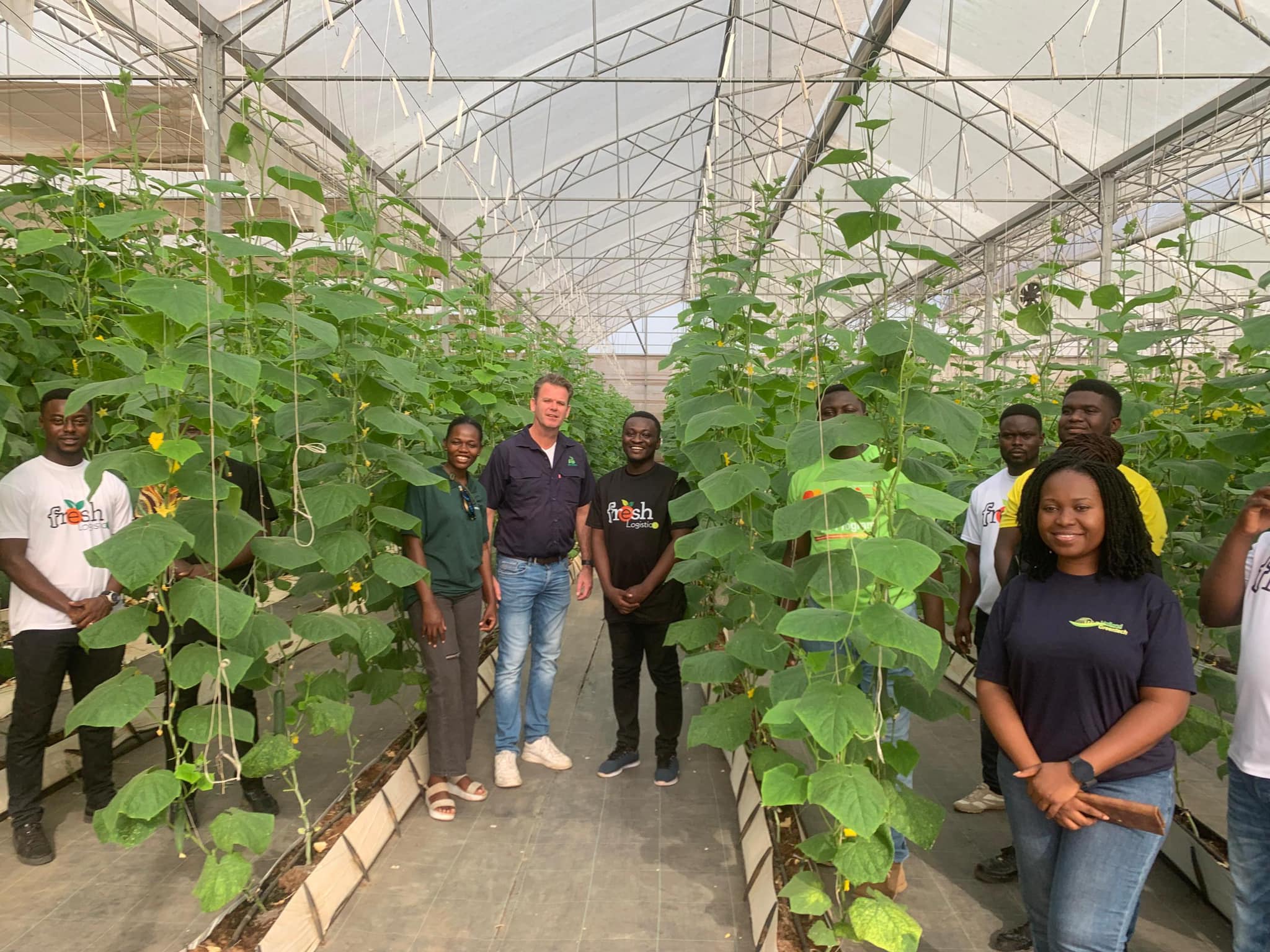 Dutch agribusiness giants visit Fresh Logistics’ greenhouses, strengthen ties