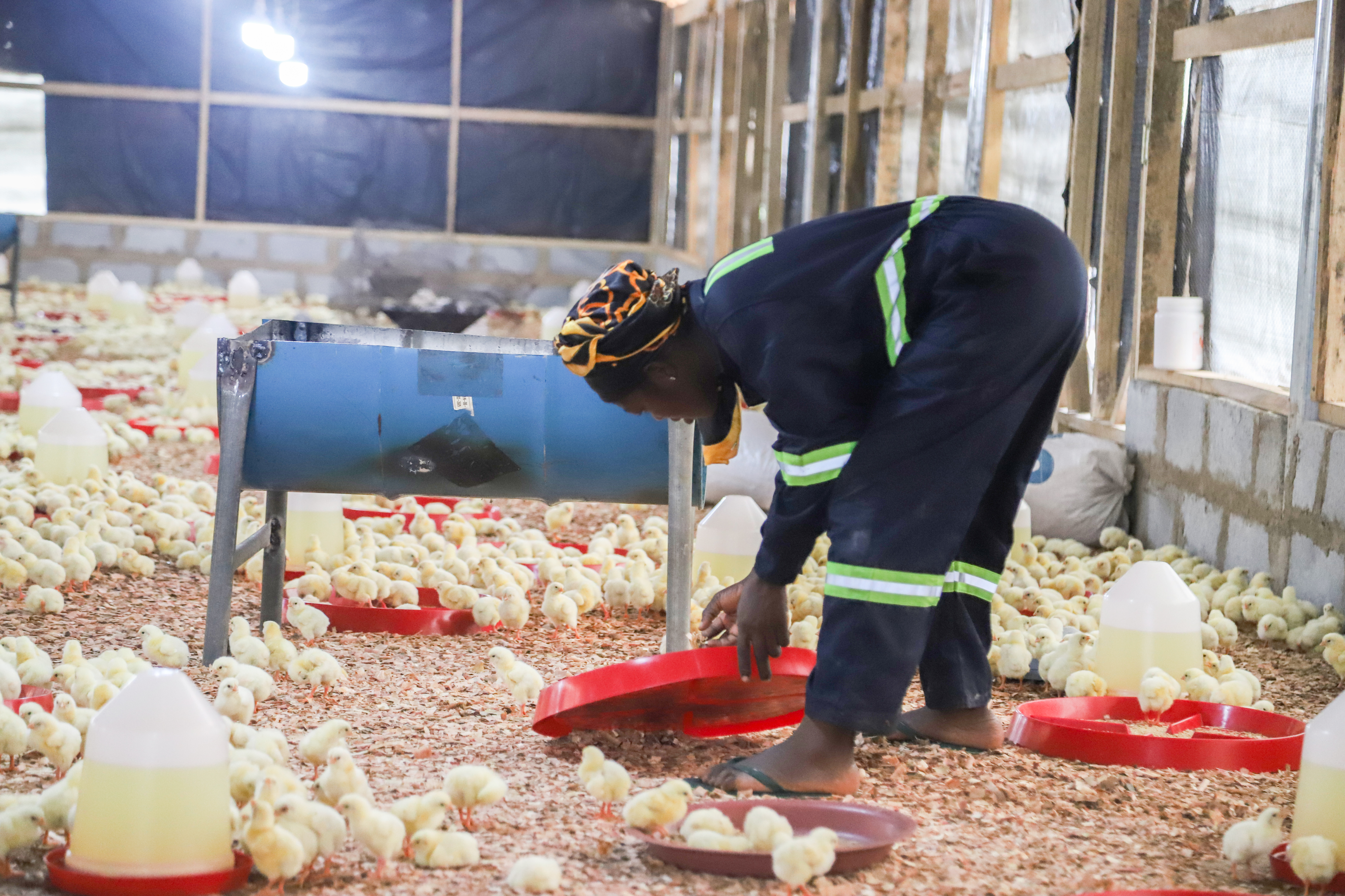Empowered to Grow: Elizabeth’s Agricultural Journey with the HAPPY Program