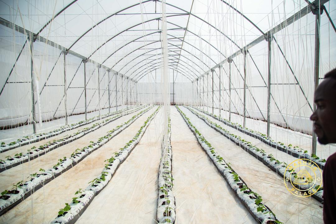 KNUST confers Honorary Doctorate on Agri-Impact CEO Daniel Fahene Acquaye