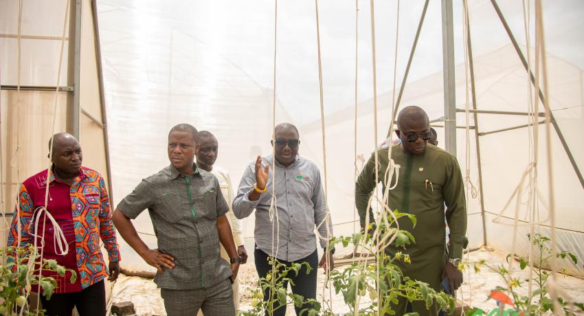 Minister tours greenhouse