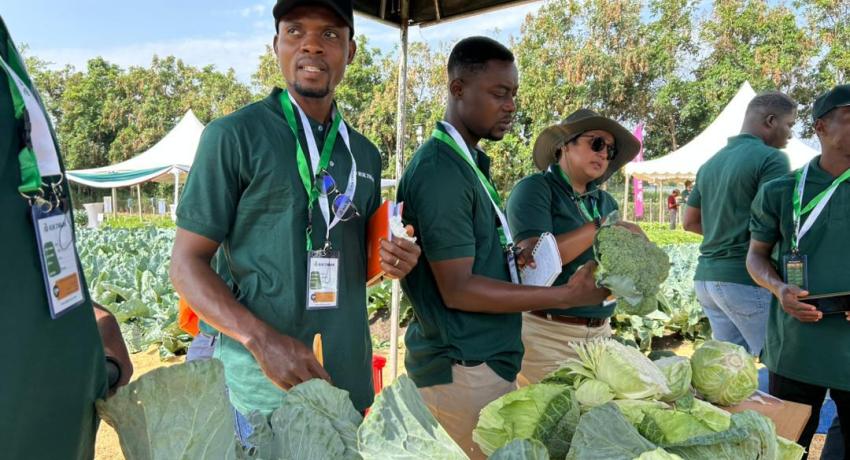 Fresh Logistics Staff Participate in Rijk Zwaan Afrisem International Field Days 2025