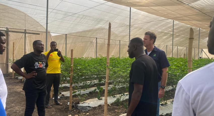 Dutch agribusiness giants visit Fresh Logistics’ greenhouses, strengthen ties