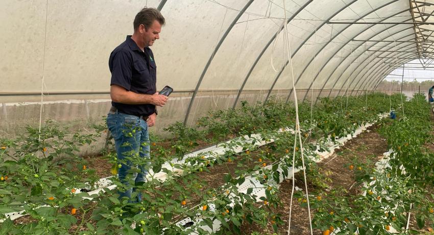 Dutch agribusiness giants visit Fresh Logistics’ greenhouses, strengthen ties