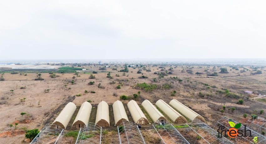 2022 National Best Farmer Visits Fresh Logistics’ Greenhouses at Dawhenya