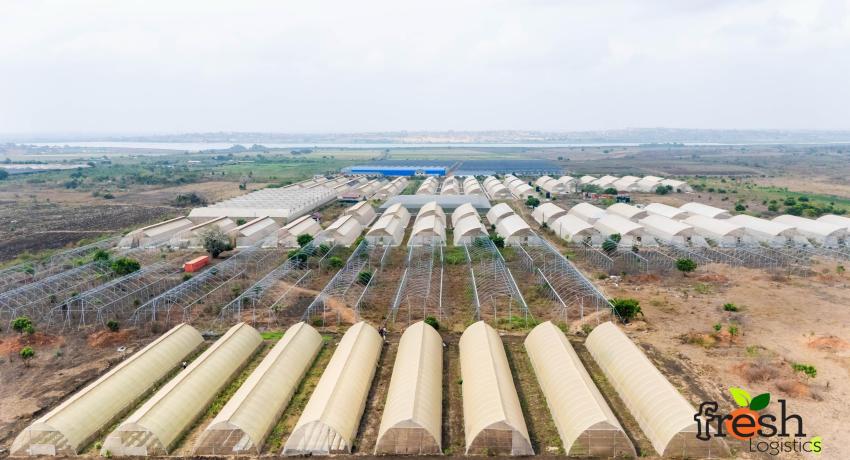 2022 National Best Farmer Visits Fresh Logistics’ Greenhouses at Dawhenya