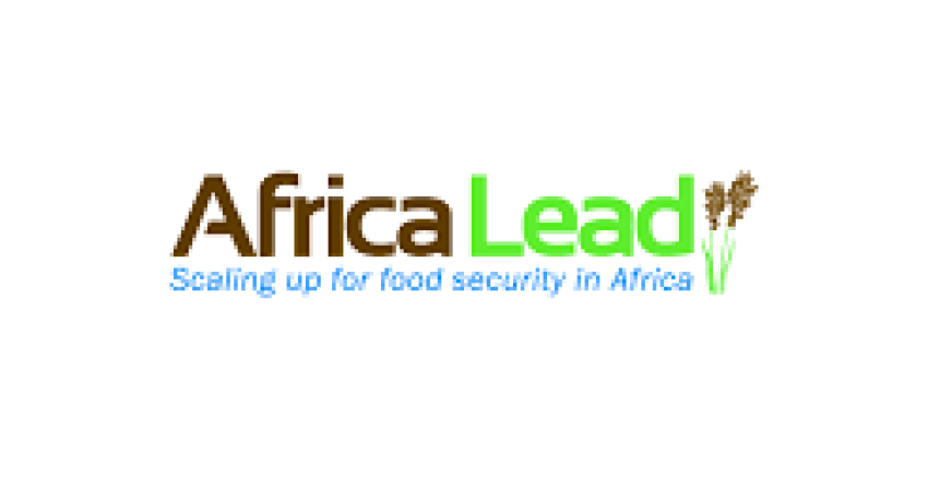 Africa Lead