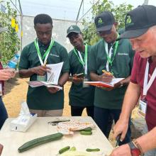 Fresh Logistics Staff Participate in Rijk Zwaan Afrisem International Field Days 2025