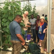 Fresh Logistics, Demeter Ghana Unite for excellence in greenhouse farming