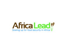 Africa Lead