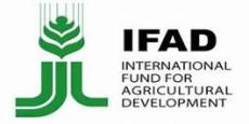 IFAD