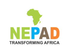 NEPAD