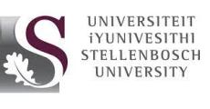 Stellenbosch University