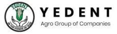 Yedent logo