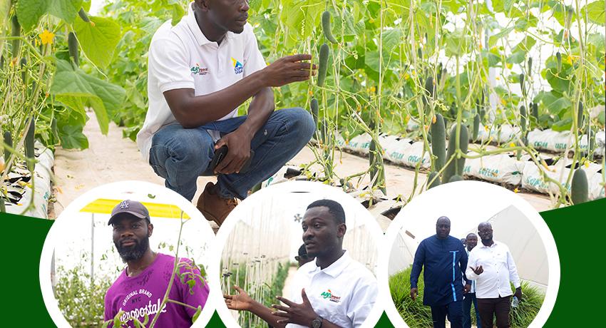 Income Generation and Livelihood Development Project (IGLDP)